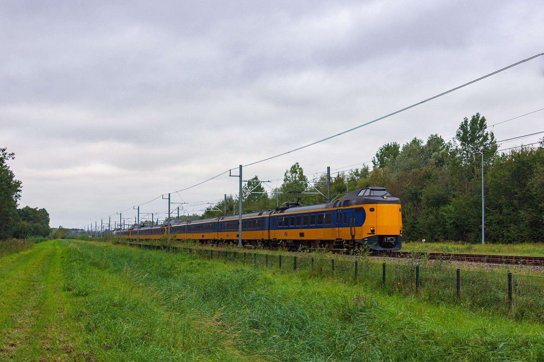 trio Koploper�w