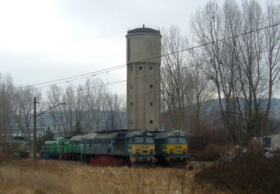 Gagariny przy wiey