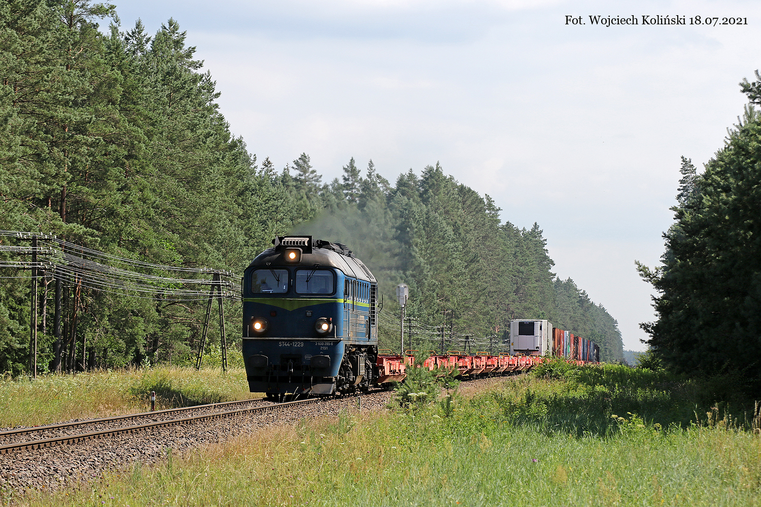 ST44-1229