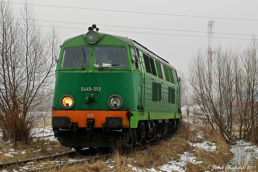 SU45-213