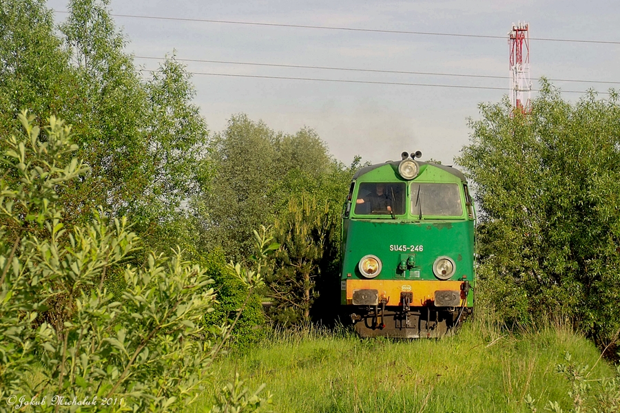 SU45-246