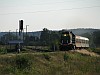 SM48-084