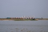 TEM2-103